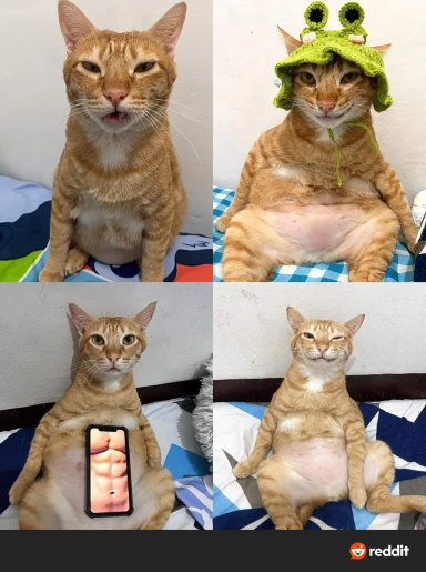 gongbonghh