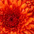 des_part2389
